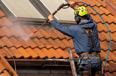 Démoussage et hydrofuge de toiture au Châtelard
